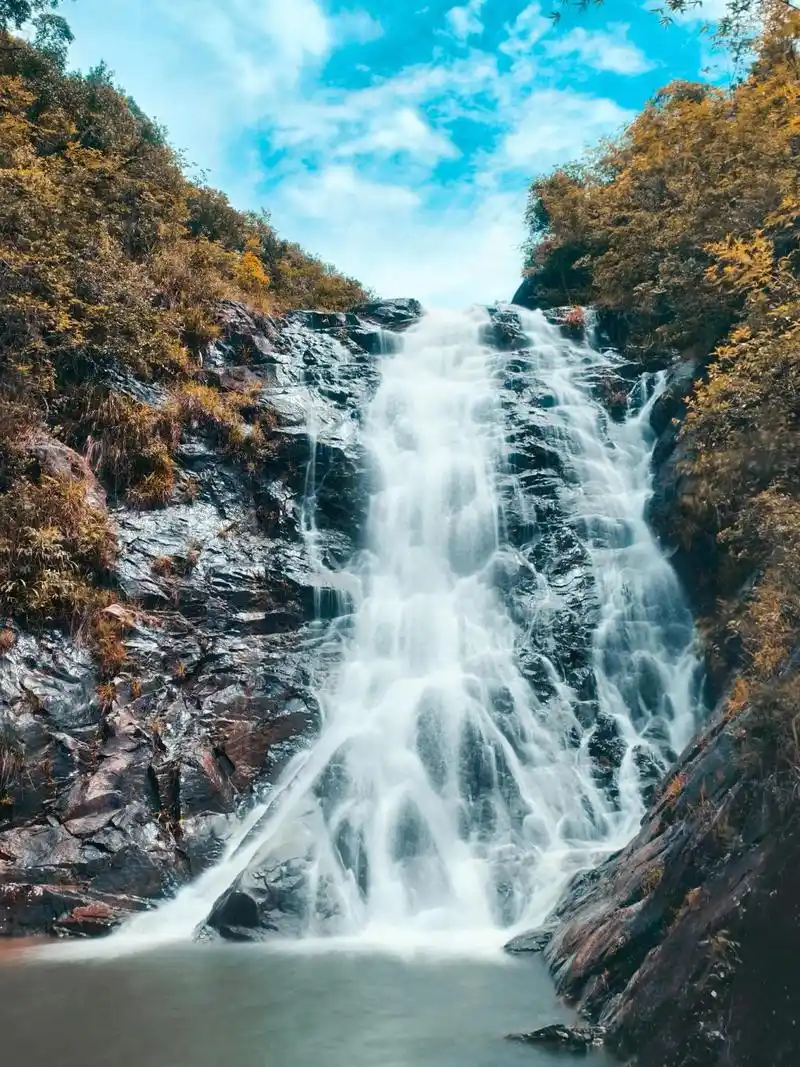 vivo 手机自带的行云流水功能.小白也能拍出专业的照片#行