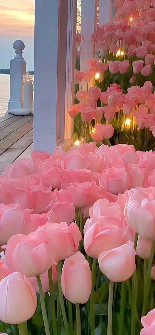 壁纸| 3035383532·氛围感全屏壁纸ins