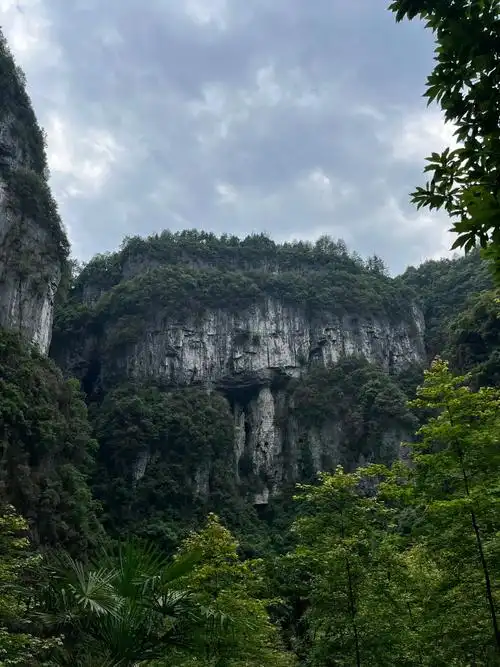 #大山深处自然美山清水秀好风光 #大自然的鬼斧神工 给身心洗 - 抖音