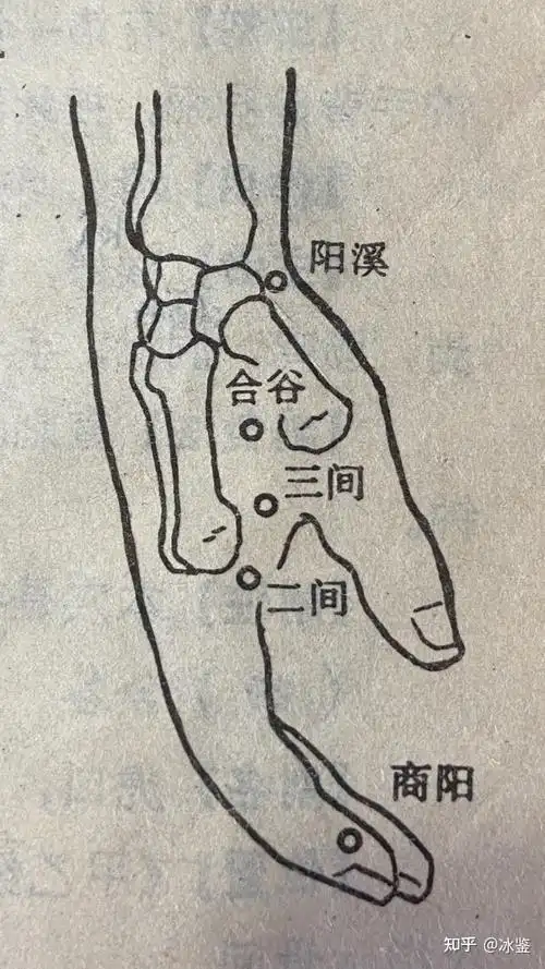 玉虚玄学风水课程玉虚玄针十四经经穴手阳明大肠经经穴