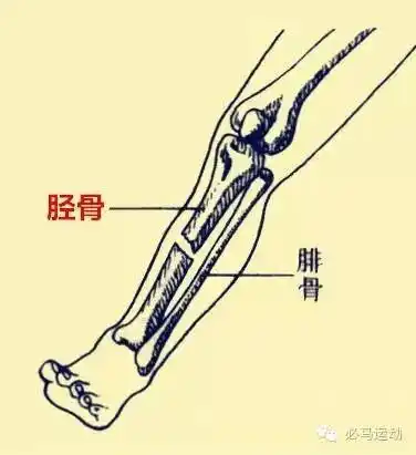 小腿疼痛—胫骨内侧应力综合征轻松搞定