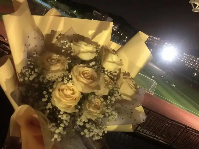 记录第一次收到花花