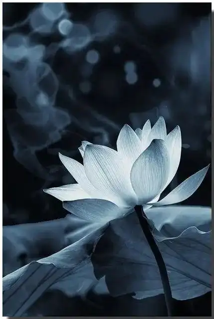 心静了,福气就来了:一组禅意唯美图片分享