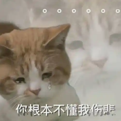伤心流泪猫猫头表情包
