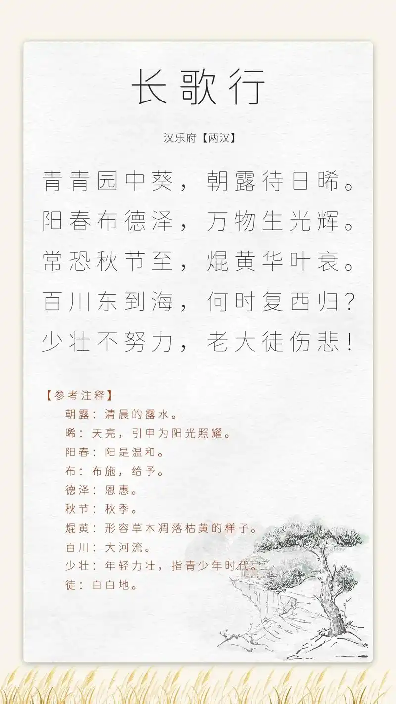 《长歌行》诗词鉴赏,注释译文鉴赏全部都有,图文可保存,慢慢看 - 抖音