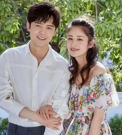 解散bobo组合后,付辛博和井柏然都选择了投身影视行业.