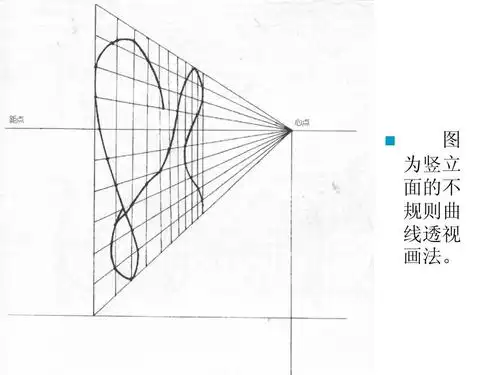 2,曲线透视(不规则曲线和圆)ppt
