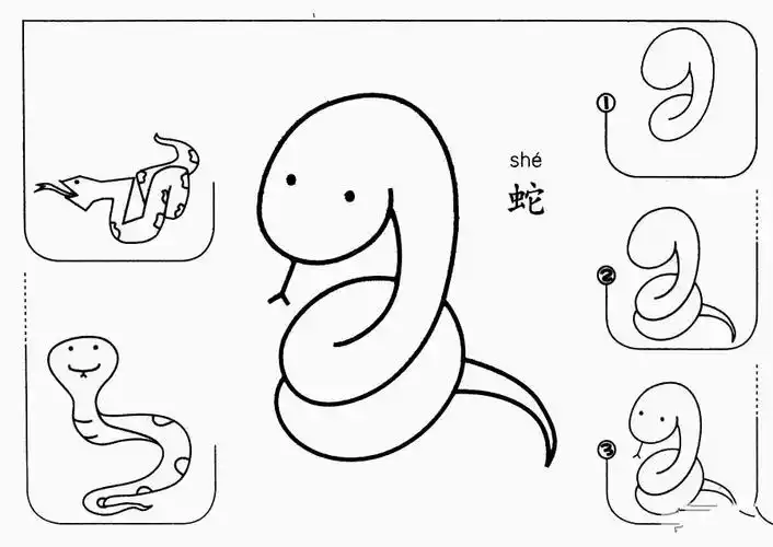 蛇怎么画