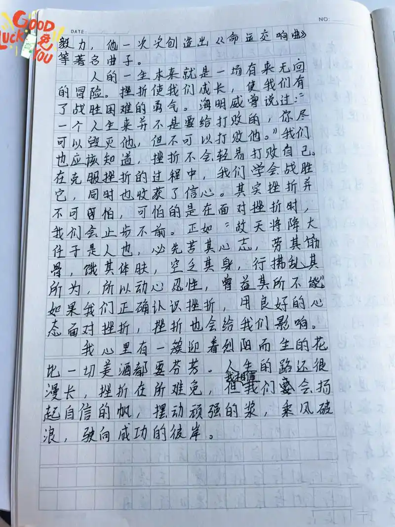 今天更新的是手写挫折作文.