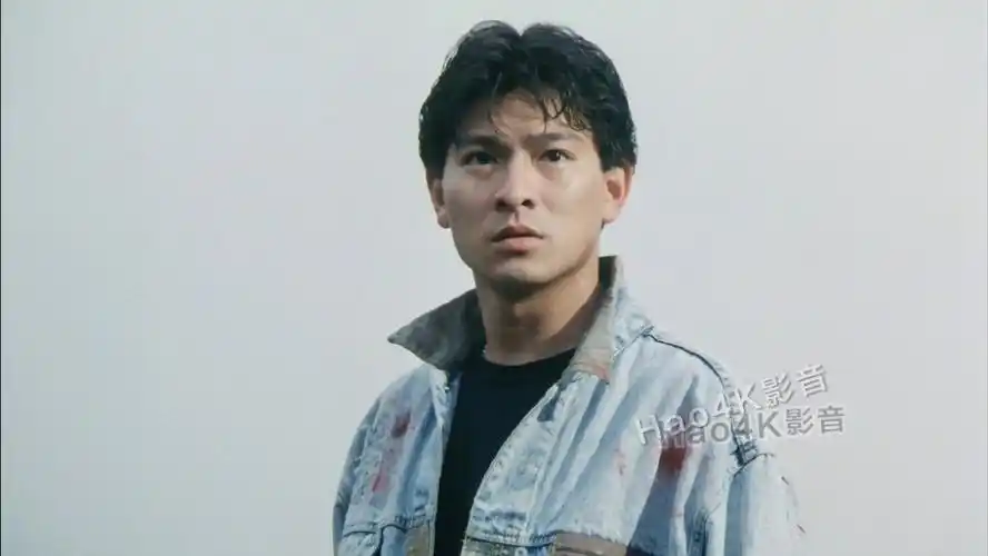 求华仔天若有情未删减版资源