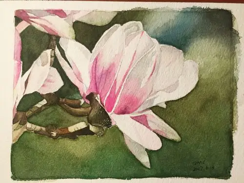 玉兰|纯艺术|绘画|清煞水_原创作品-站酷zcool