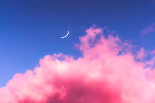 那些让人读起来感到很温暖的句子,简单美好,治愈人心!