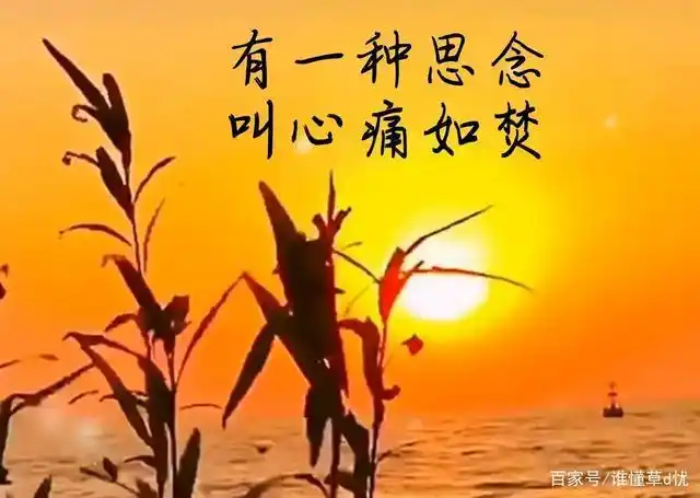 有一种爱,叫想念到心痛;想你,有你住在心里,足够我用一生回忆