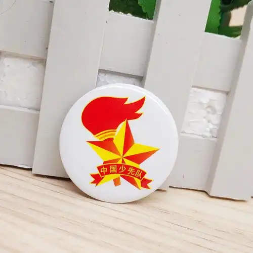 少先队员大号中国少先队队徽小学生胸章徽章塑料别针文创