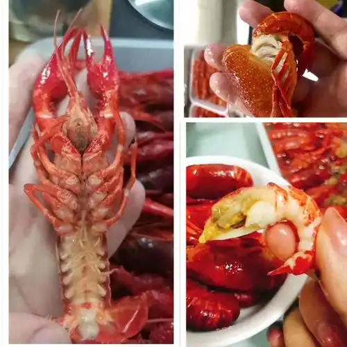 潜江清水小龙虾789钱速冻原味液氮锁鲜油炸冷冻龙虾 -