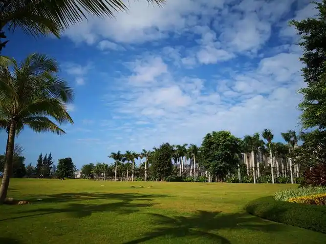 海南的蓝天白云,绿地,金色海岸