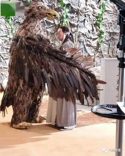 【开心速递】大龙生原是香港电视史首代杨过 罗乐林50年来腰围保持33