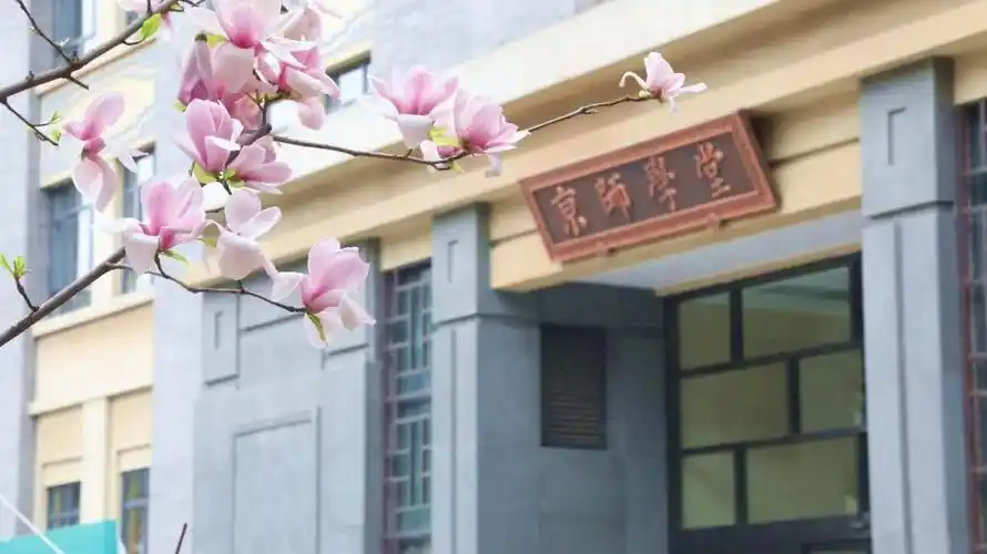 获得北师大研究生优先录取资格的秘诀是……_澎湃号·政务_澎湃新闻-t