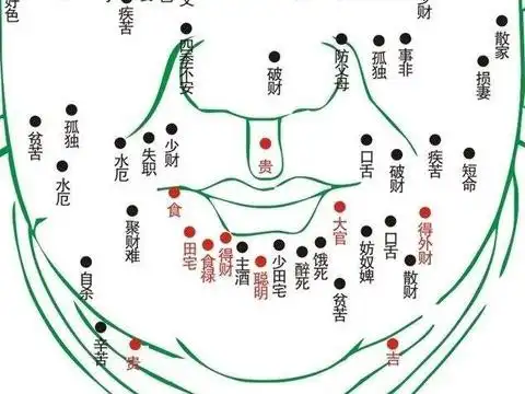 假如哪个男人下巴四周有痣,说明会有财富伴随其一生.