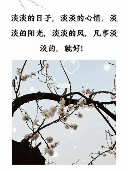 平平淡淡才是真