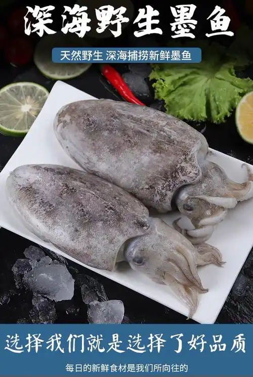 墨鱼鲜冻大乌贼鲜活大墨鱼超大野生鲜墨鱼目鱼墨斗鱼全国 1斤左右每个