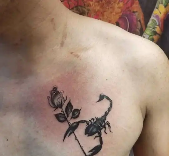 蝎子纹身图片_胸部纹身图案