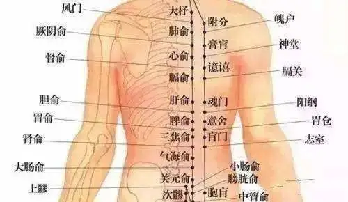 腰部按摩器