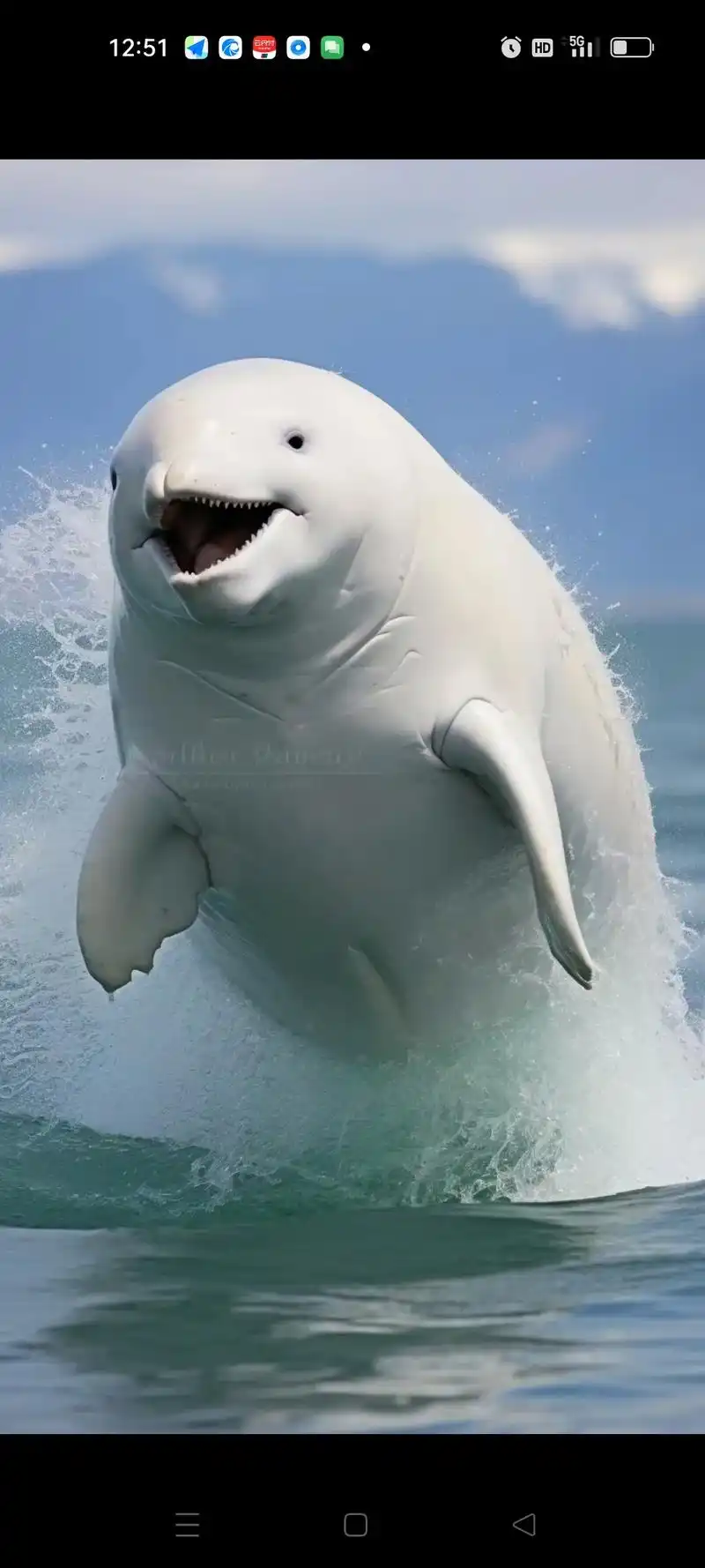 可爱的海洋生物.#海洋生物的命也是命 8月24日,日本福岛第 - 抖音