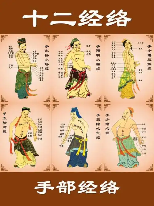 十二经络之手部经络