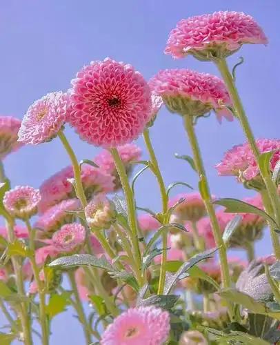 简单干净的句子,句句经典,阳光又有内涵