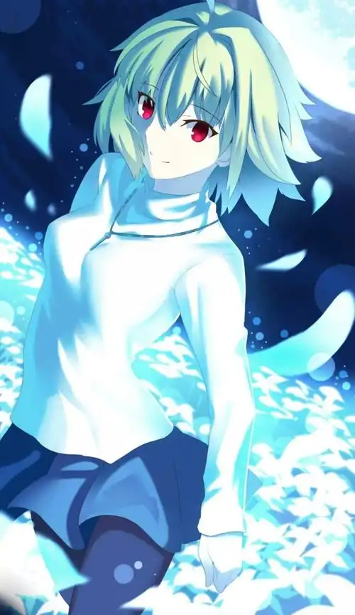 壁纸| 爱尔奎特·布伦史塔德(月姬/fate extra/真月谭月姬)@658期