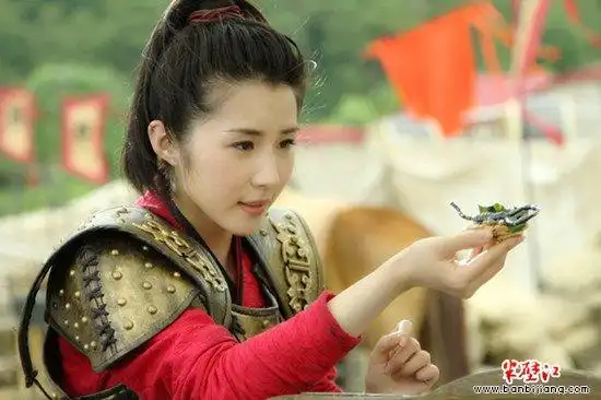 移山倒海的樊梨花是否真有其人