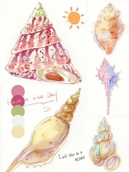 水彩小海螺合辑61074