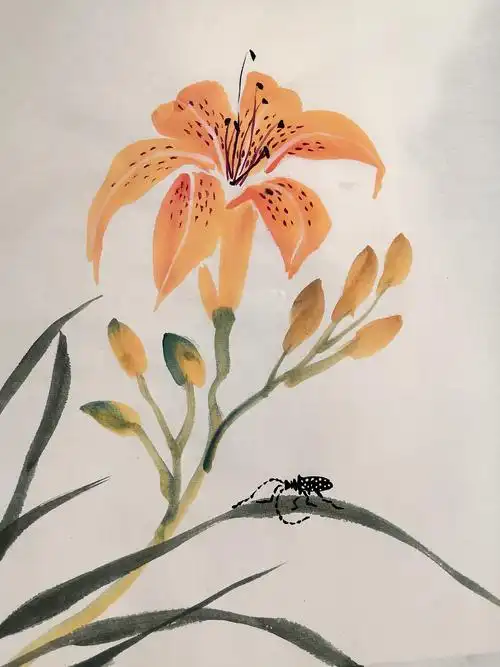 网课写意花鸟第八课《萱草》忘忧草—及工笔网课作业