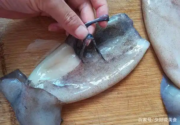 鱿鱼会喷墨吗(章鱼和鱿鱼哪个会喷墨)