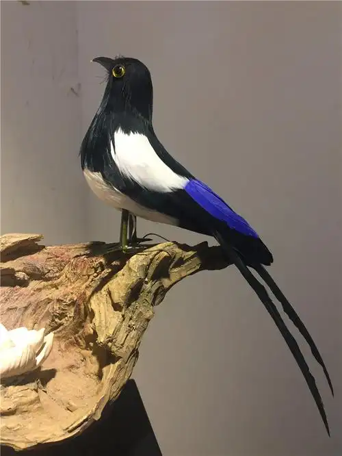 仿真鸟类标本仿真喜鹊鸟摆件教学模型羽毛鸟工艺鸟类飞禽标本创意礼品