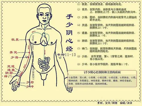 手少阴心经示意图 - sunjiehua - sun-太极拳