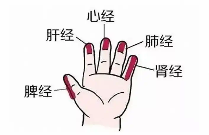 重庆六合学校除了给小朋友送上祝福外还带来了满满干货