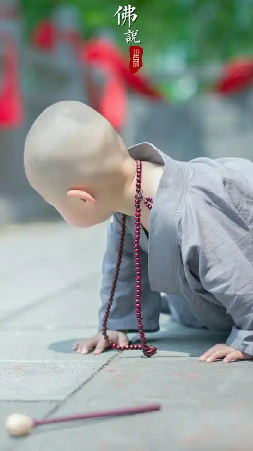 小和尚的世界 好好