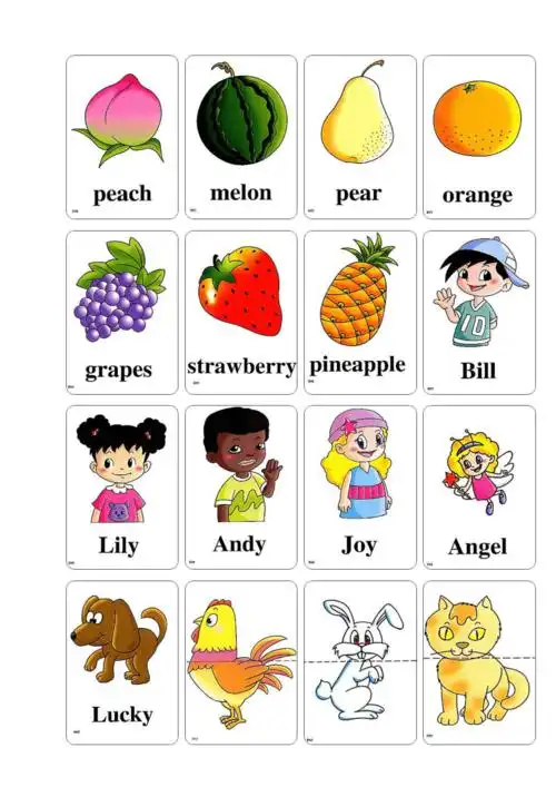 新起点小学英语一年级上册单词卡片doc