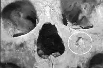 可是,当苏军对所有可能隐匿杨靖宇,赵尚志头颅的地下室,军用仓库,秘密