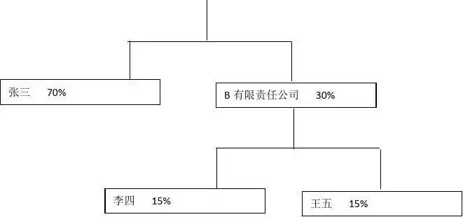 精选范本 股权架构图a有限责任公司