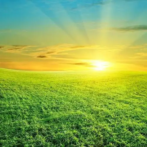 21个最阳光的句子,温情暖心