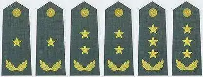 中将是什么级别的干部盘点中国军衔等级排名