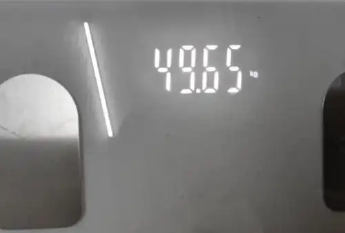 的体重有点小惊讶,居然下100啦 下百目标已达成, 立一个flag:减到95斤