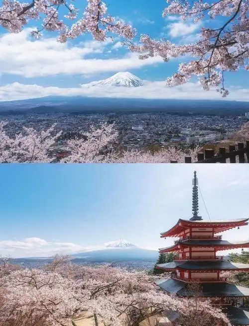 日本富士山脚的打卡点,图片:小红书