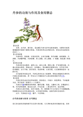 丹参的功效和作用和食用禁忌.doc