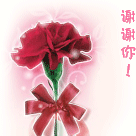 soogifsoogif出品谢谢你gif动图_动态图_表情包下载_soogif