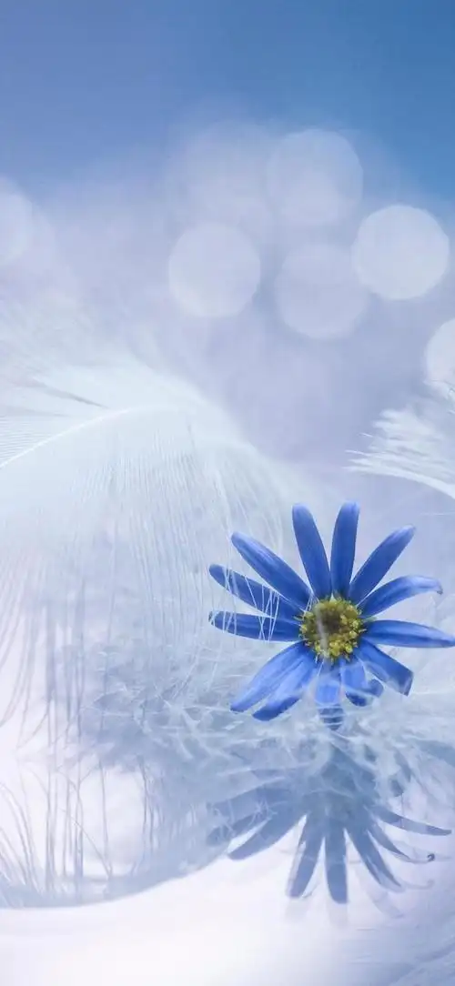 壁纸|彩色人生之蓝色