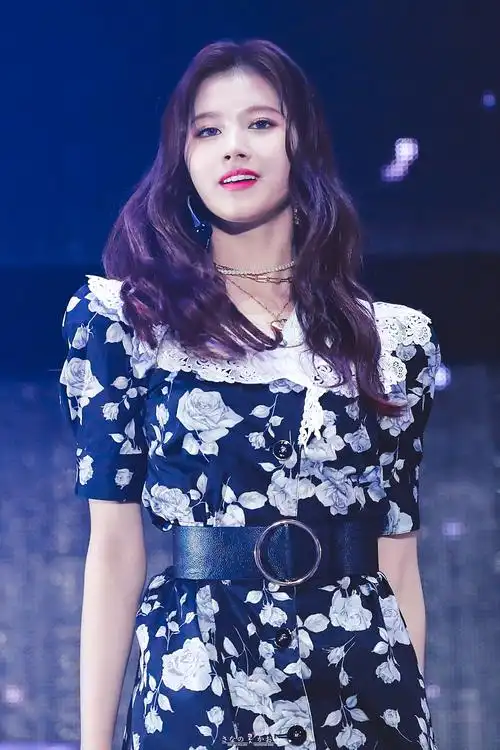 twice凑崎纱夏sana
